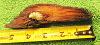 Click here to see the details of this item