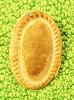 Click here to see the details of this item