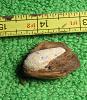 Click here to see the details of this item