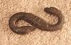 Click here to see the details of this item