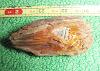 Click here to see the details of this item
